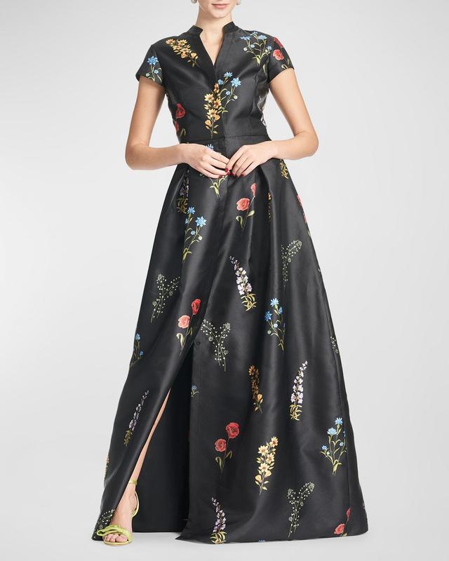 Marta Pleated Floral-Print A-Line Gown Product Image