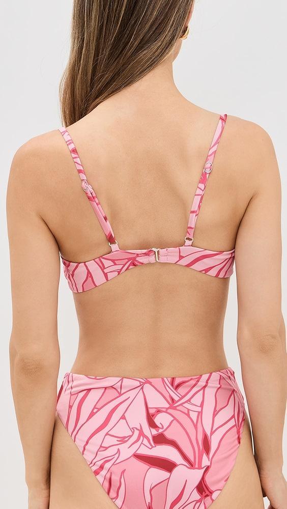 Peixoto Portia Bikini Top | Shopbop Product Image