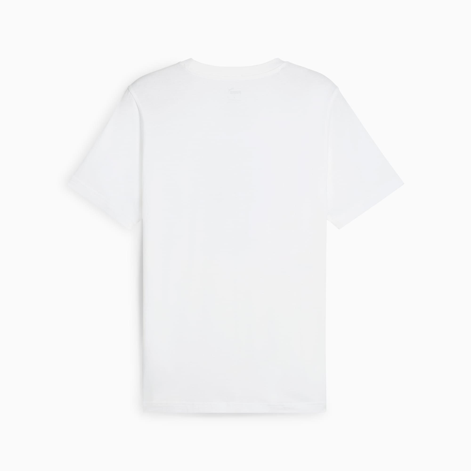 GRAPHICS PUMA Bowl Tee Men Product Image