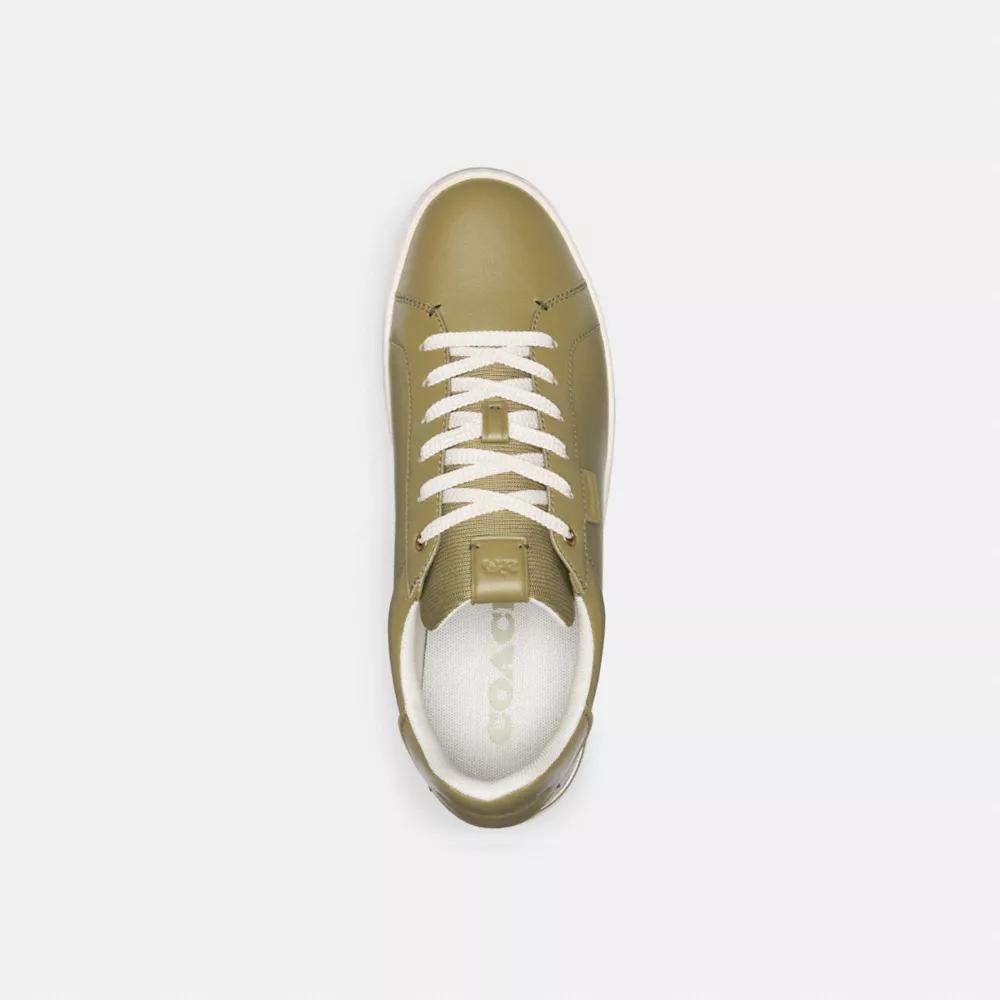 Lowline Low Top Sneaker Product Image