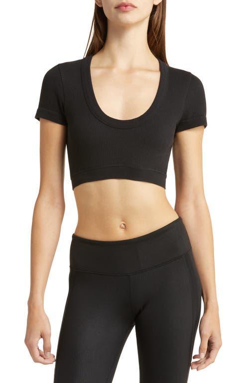 Alo Serene Rib Crop Top Product Image