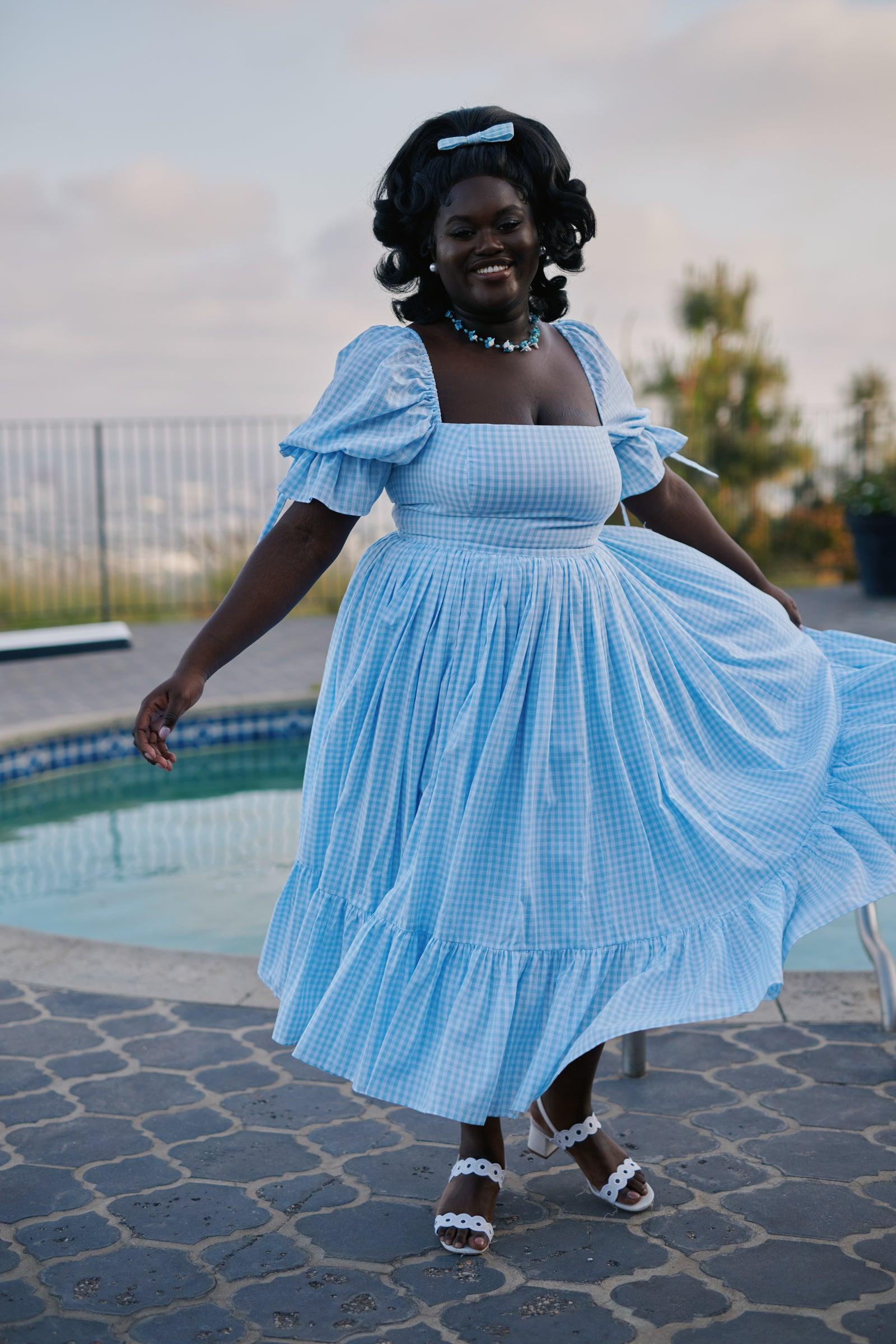 The Blue Gingham Market Dress Product Image