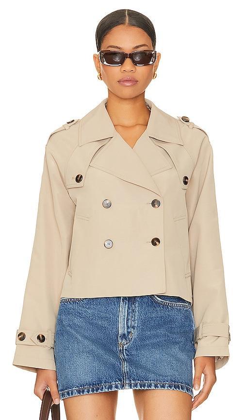 Sirus Jacket Steve Madden Product Image