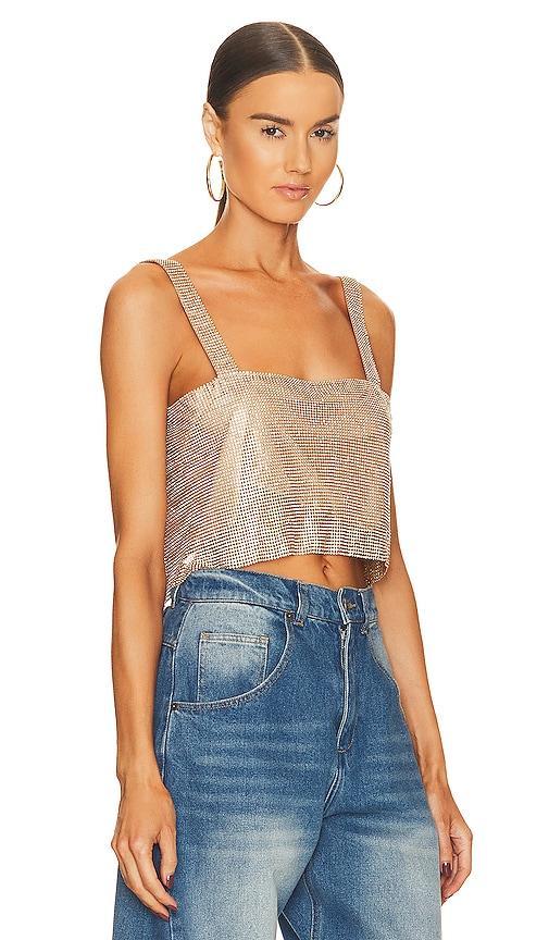 SNDYS Audrina Top in Metallic . Product Image