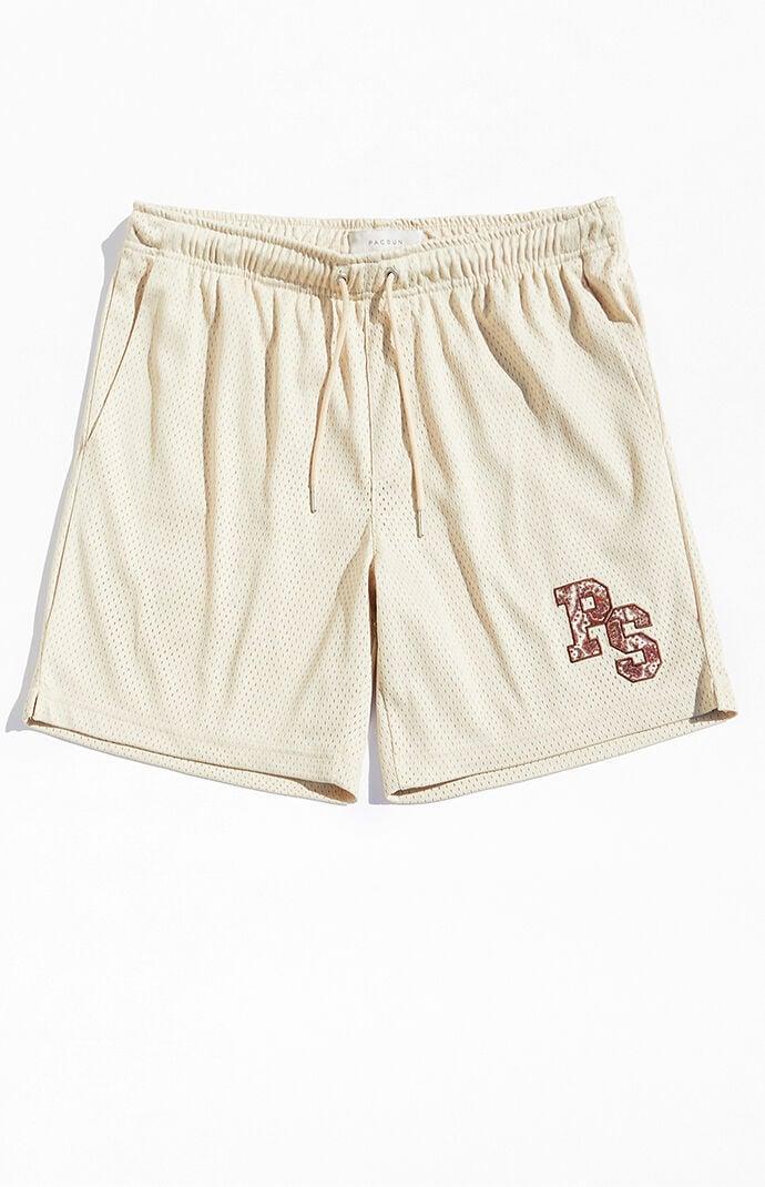 Men's Patch Mesh Shorts Product Image