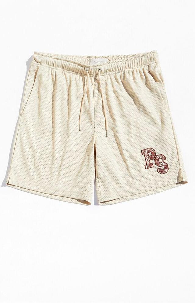 Men's Patch Mesh Shorts Product Image