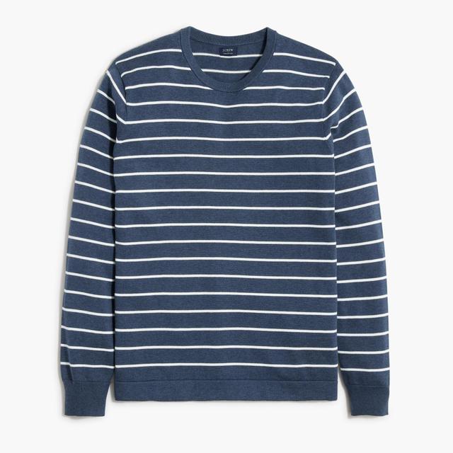 Striped cotton crewneck sweater-tee Product Image