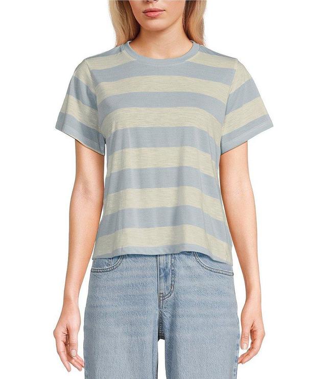 Copper Key Stripe Short Sleeve Boxy T-Shirt Product Image