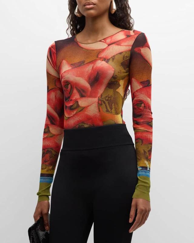 Roses Mesh Long-Sleeve Top Product Image