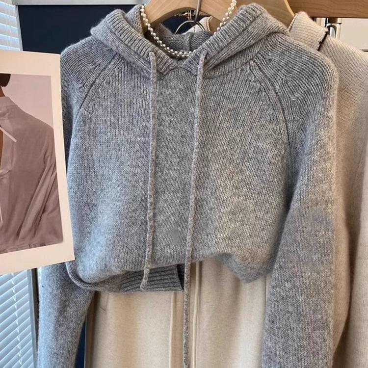 Plain Hood Sweater Product Image