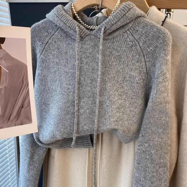 Plain Hood Sweater Product Image