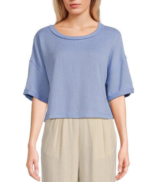 Blu Pepper Short Sleeve Ribbed Knit Top Product Image