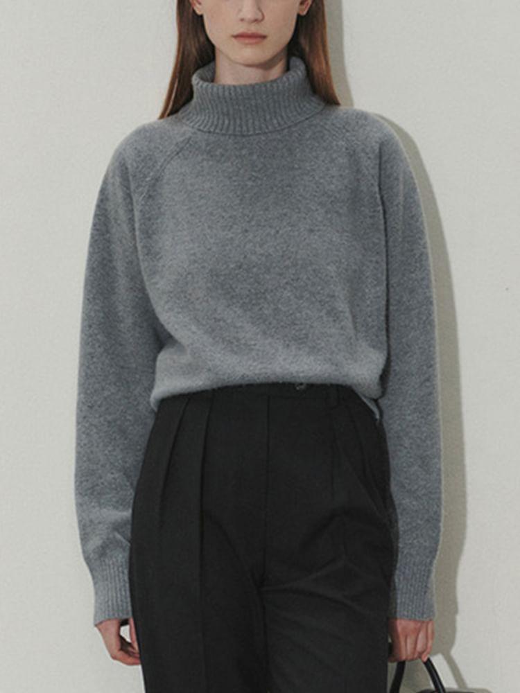 Turtleneck Plain Sweater Product Image