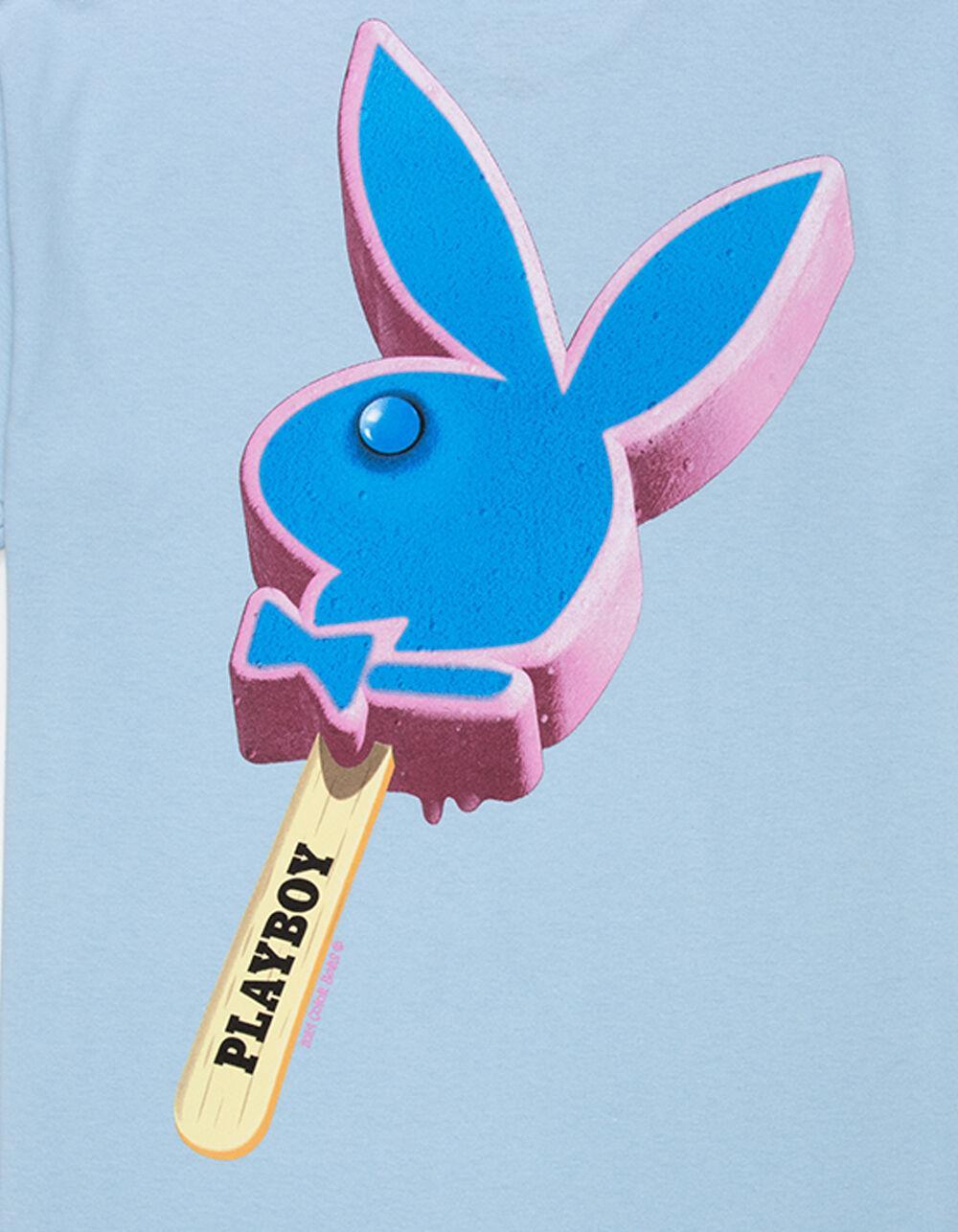 COLOR BARS x Playboy Ice Cream Mens Tee Product Image