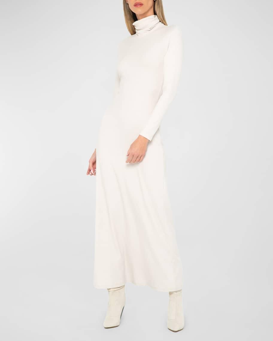 Miranda Turtleneck Maxi Dress Product Image