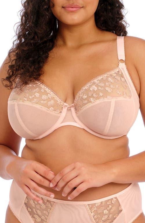 Elomi Namrah Underwire Cut  Sewn Bandless Bra Product Image