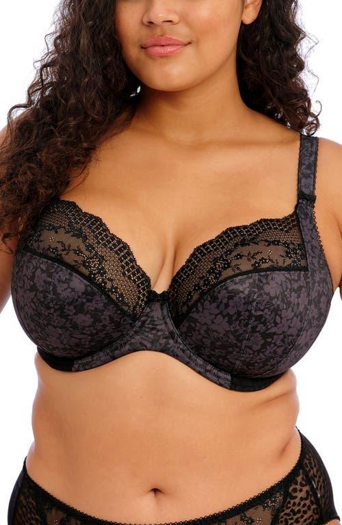 Elomi Lucie Full Figure Underwire Plunge Bra Product Image