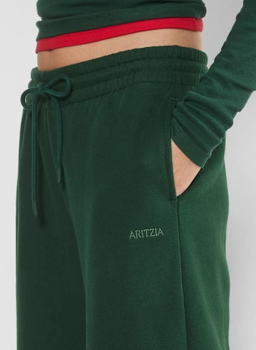 cozy fleece boyfriend basic wide sweatpant Product Image