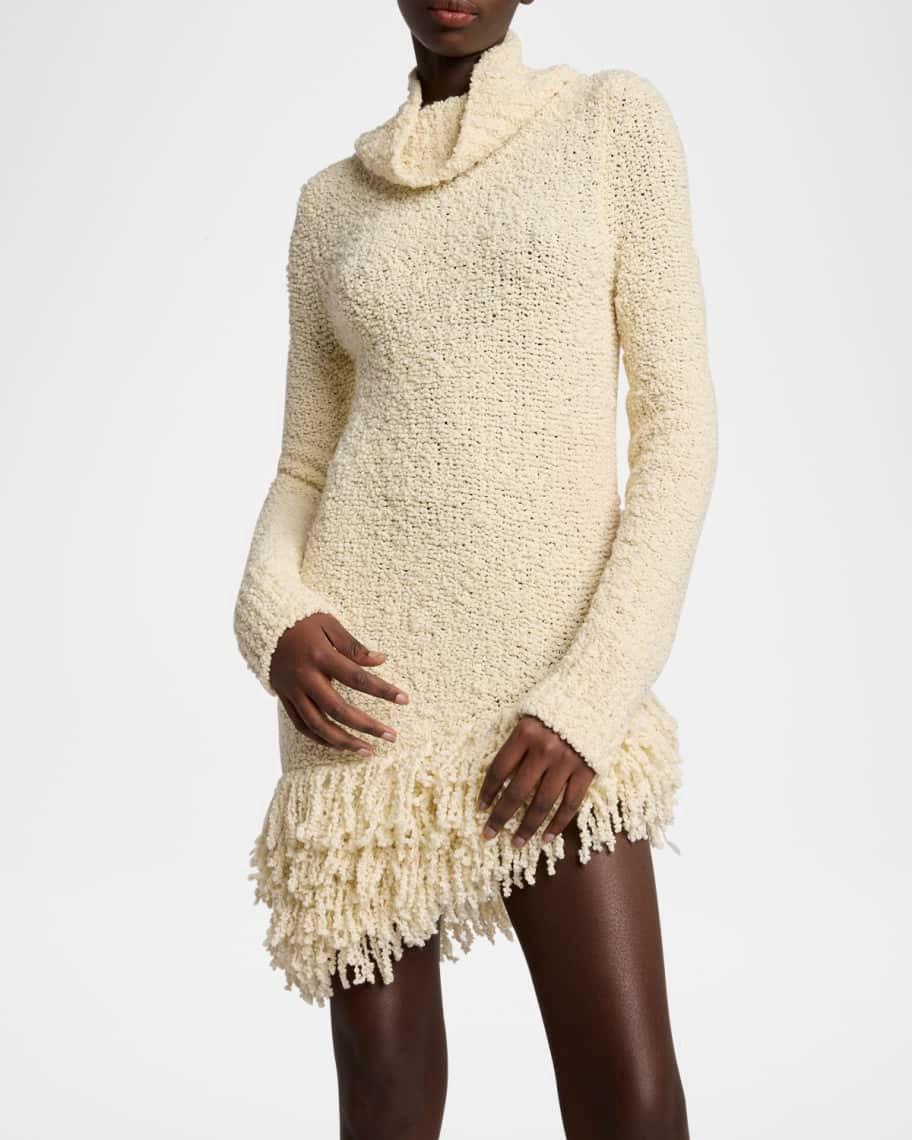 Meloe Fringe Knit Mini Dress Product Image