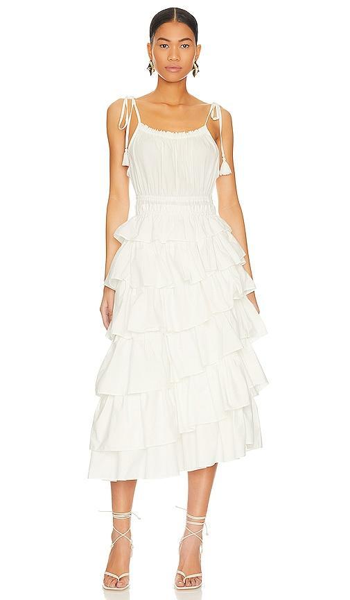 Steve Madden Mireya Midi Dress (Ivory) Women's Clothing Product Image