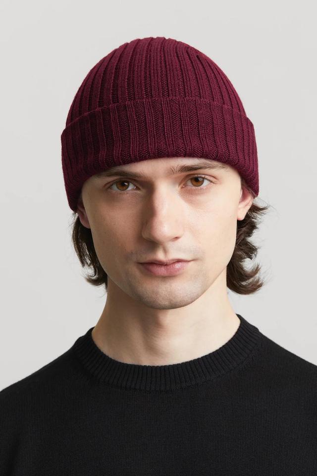 The Ribbed Wool Beanie Product Image