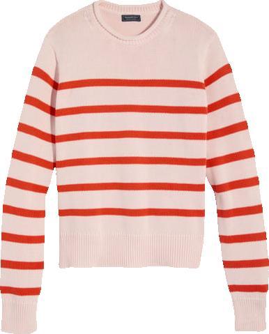 Cotton Rollneck Sweater Product Image