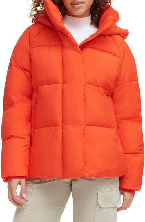 levis Hooded Puffer Jacket Product Image