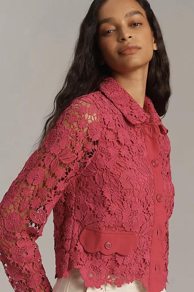 DOLAN Lace Lady Jacket Product Image