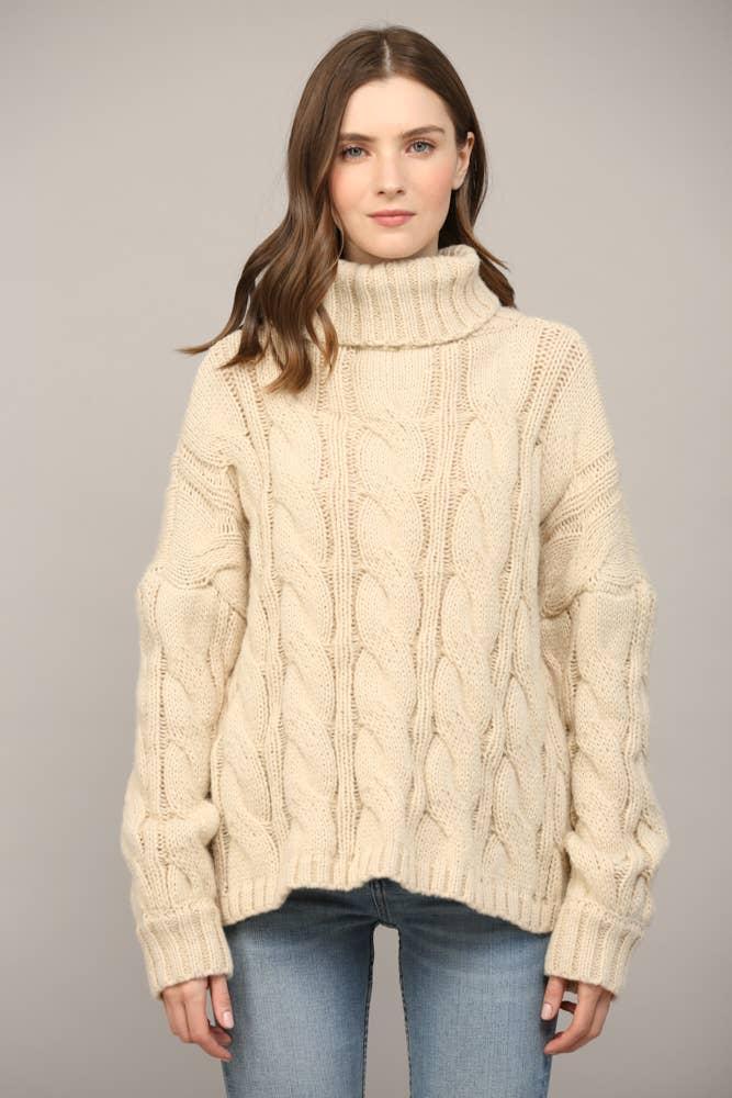 Cable Knit Turtleneck Product Image