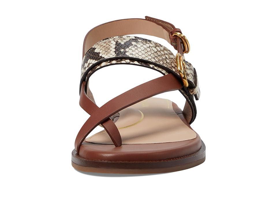 Cole Haan Anica Lux Buckle Sandals (Sandollar Soho Snake Print Leather) Women's Sandals Product Image