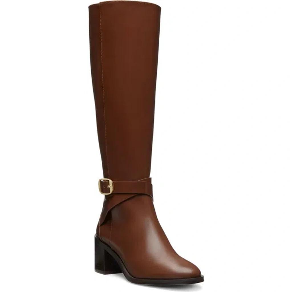 Esme Belted Zip Boot In Deep Coffe Product Image