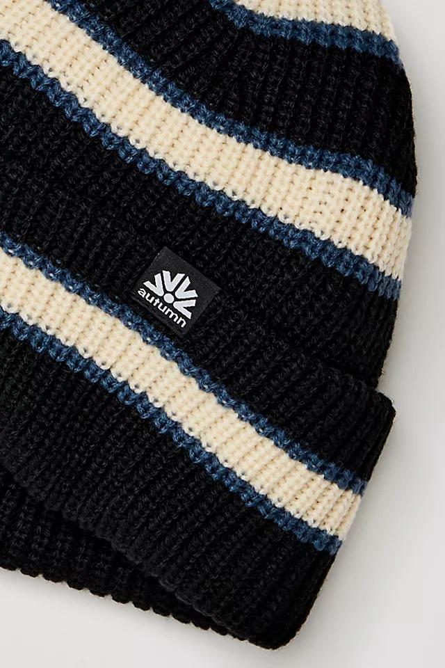 Slacker Striped Beanie Product Image