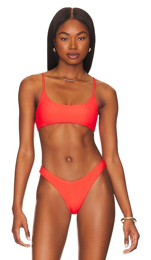 Mia Ribbed Bikini Top Product Image