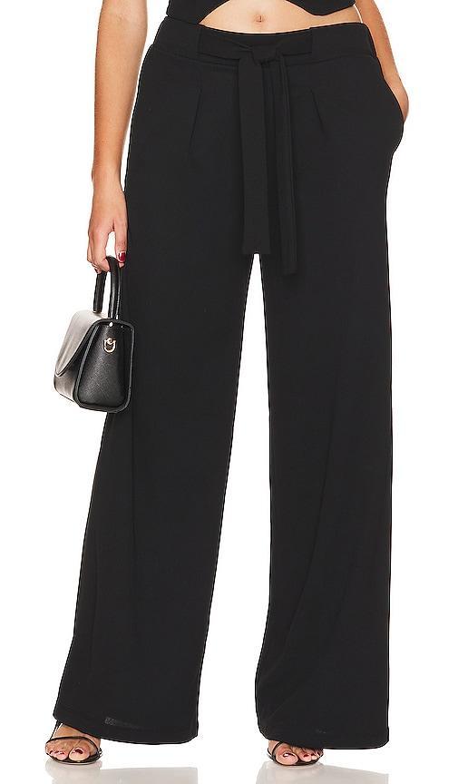 Belted Wide Leg Pant Product Image