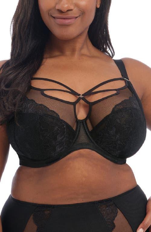 Elomi Brianna Full Busted Contour Wire U-Back Cage Plunge Bra Product Image