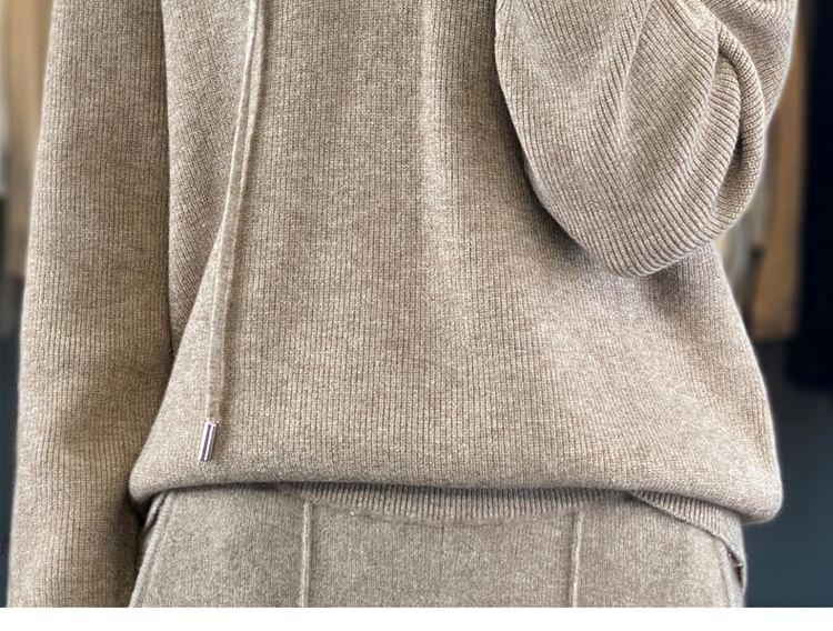 Henley Plain Hood Ribbed Sweater Product Image