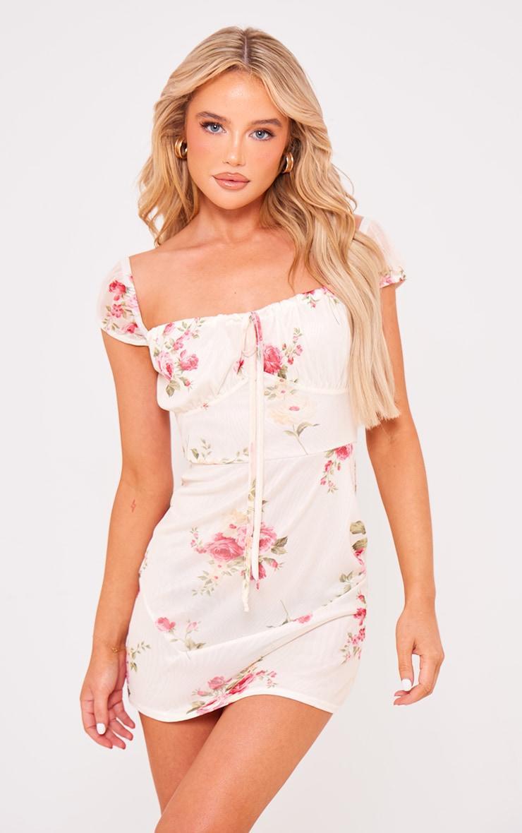 Cream Floral Mesh Cap Sleeve Mini Dress Product Image