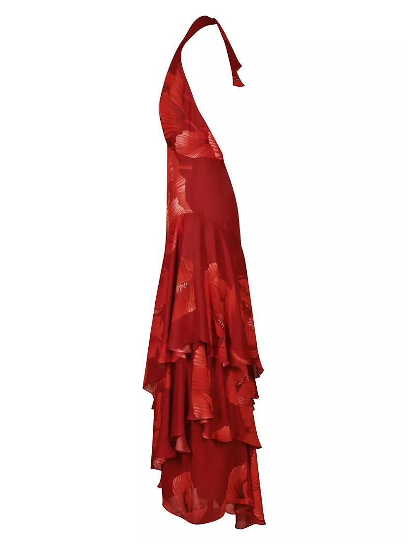 Elusive Spirit Maxi Dress Product Image