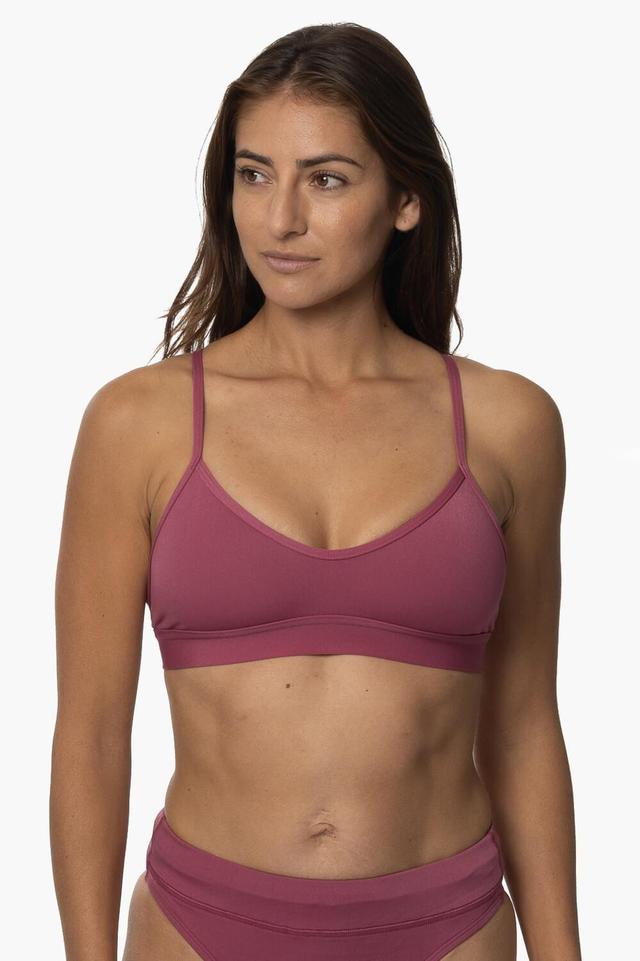 Mara Bikini Top - Recycled Foreverever Female Product Image