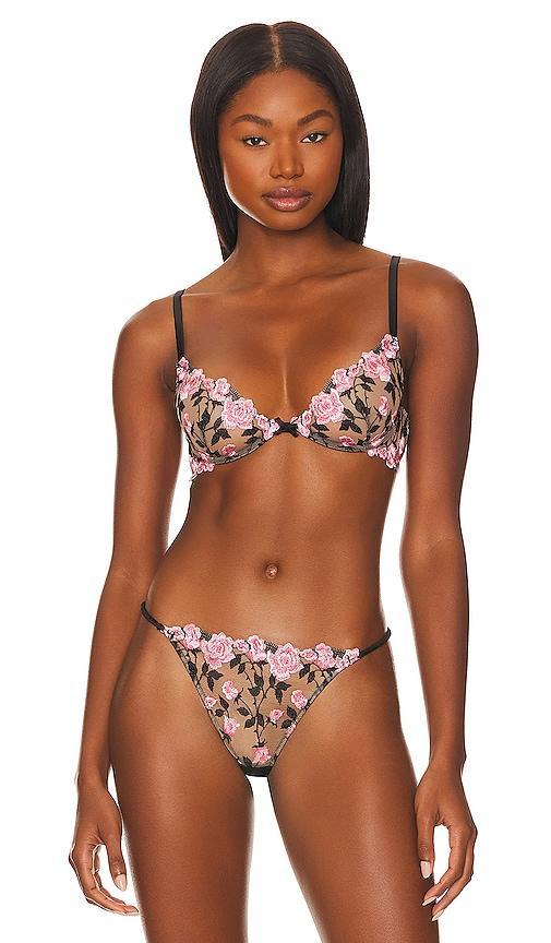 Womens Roses And Thorns Embroidery Demi Bra Product Image