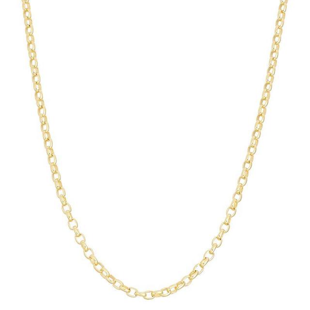 Jordan Blue 14k Gold Over Silver Adjustable Rolo Chain Necklace, Womens Yellow Product Image