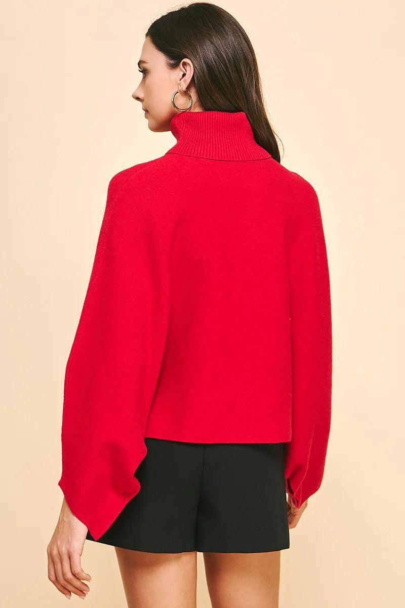 Turtleneck Raglan Sleeve Sweater Product Image