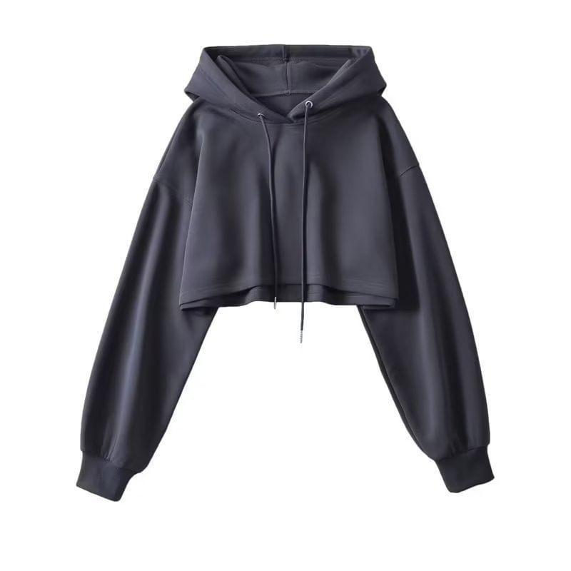 Long-Sleeve Plain Hoodie Product Image