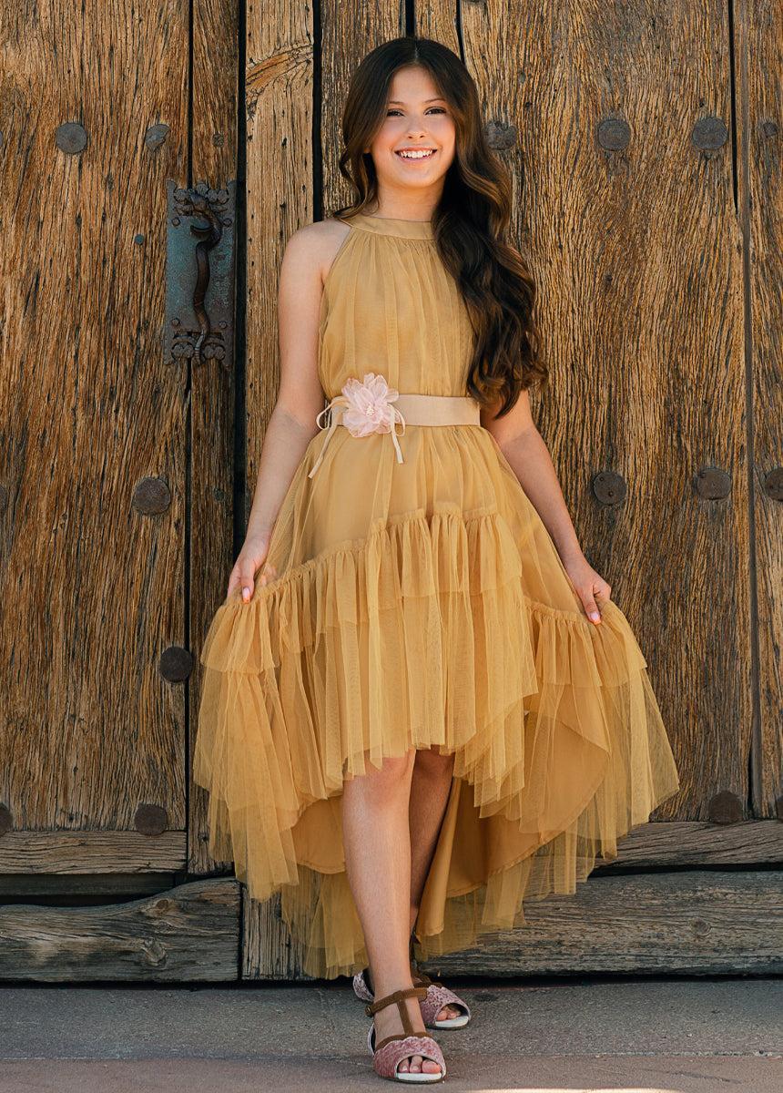 Fay Dress in Honey Product Image