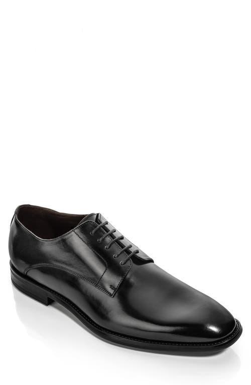 To Boot New York Amedeo Derby Product Image