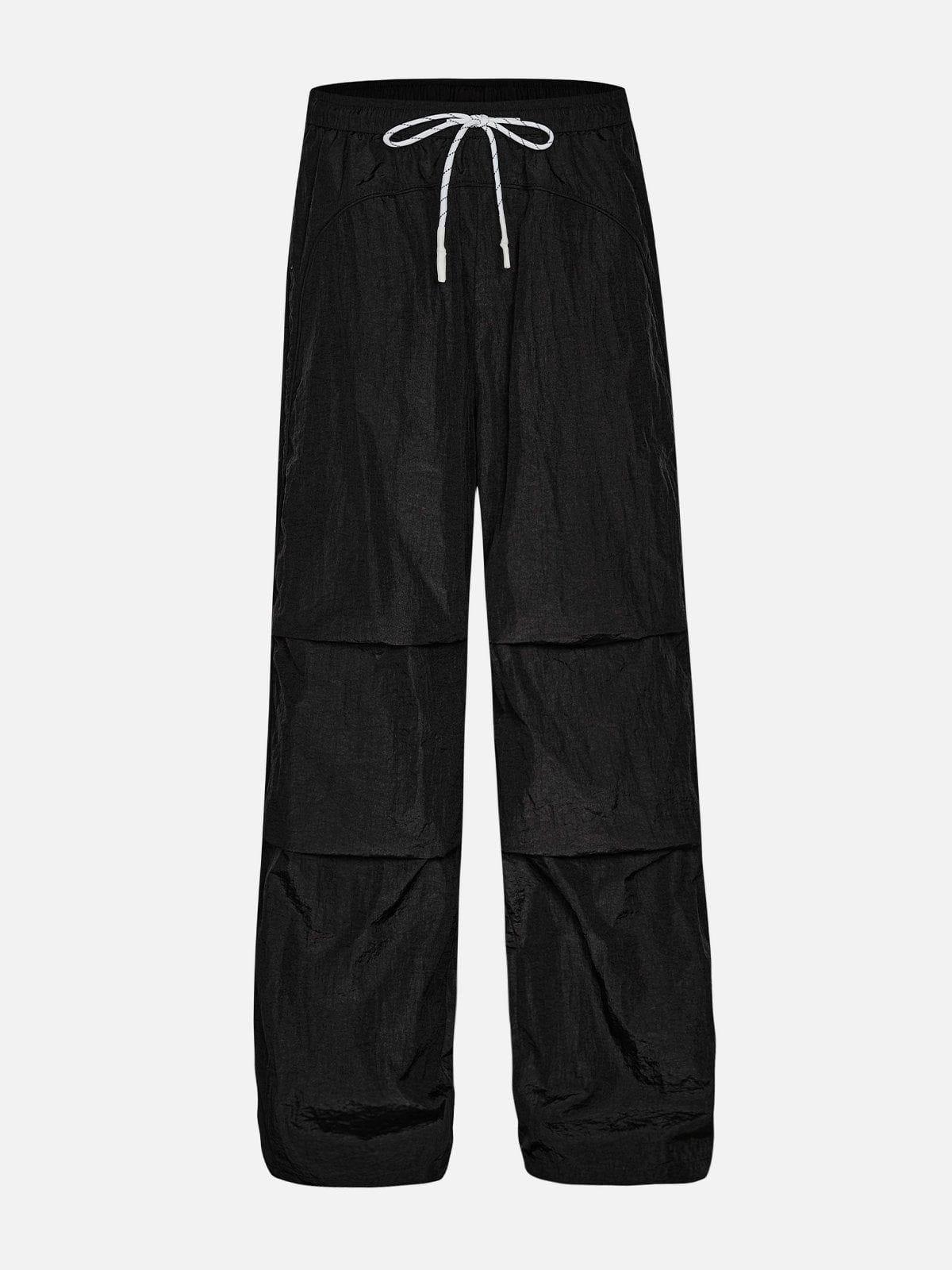 Aelfric Eden Solid Nylon Wrinkle Pants Product Image