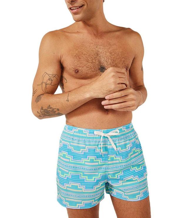 Chubbies Family Matching Classic 5.5#double; Inseam Desert Dawns Swim Trunks Product Image