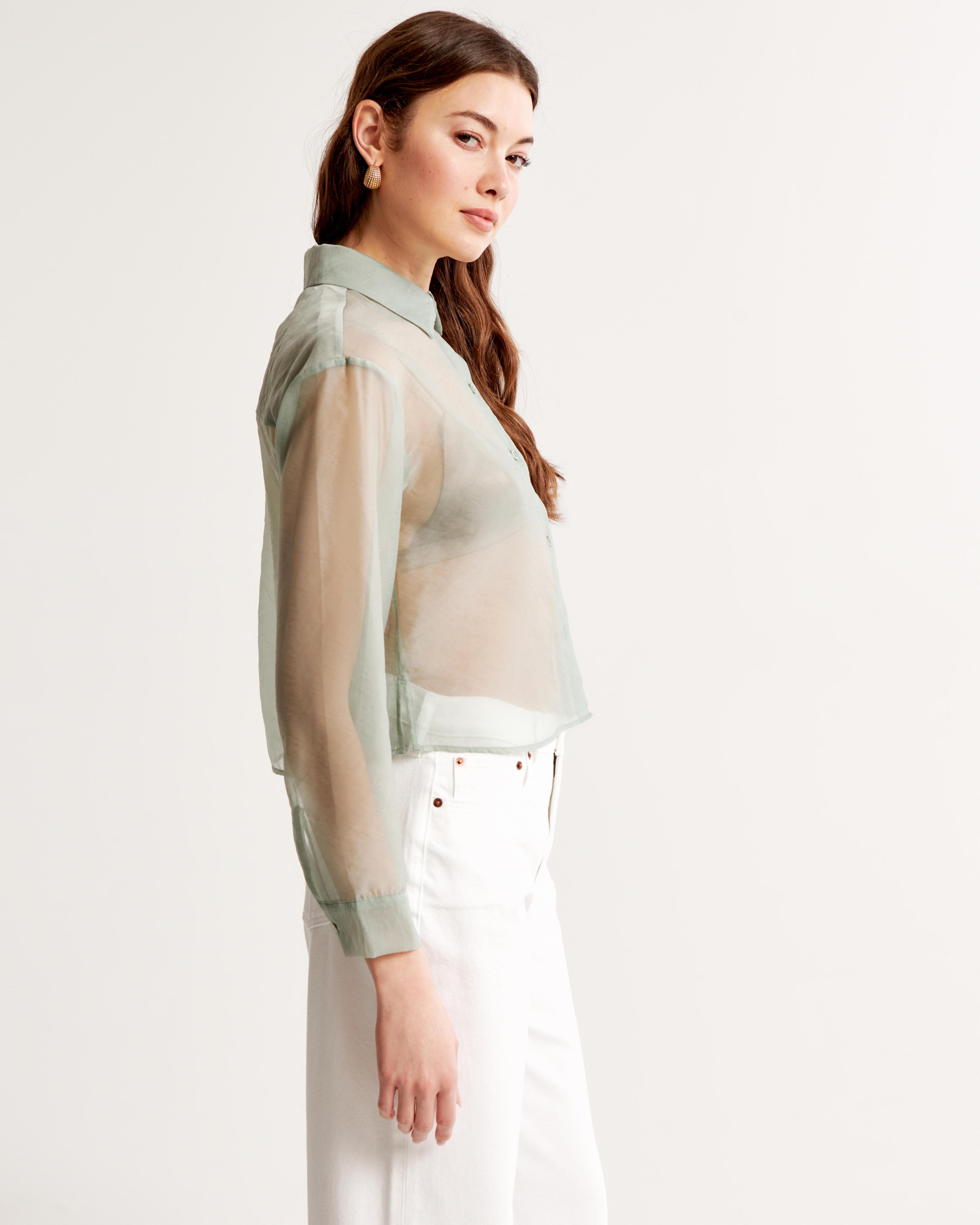 Long-Sleeve Sheer Shirt Product Image