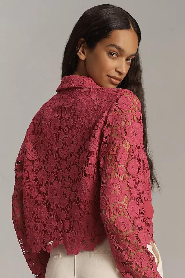 DOLAN Lace Lady Jacket Product Image