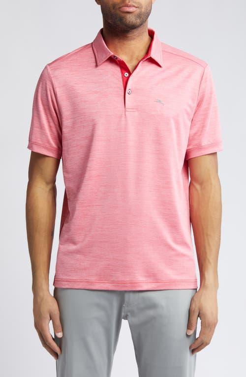 Mens San Raphael Polo Shirt Product Image